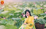 Dịu dàng mùa sen Hà Nội